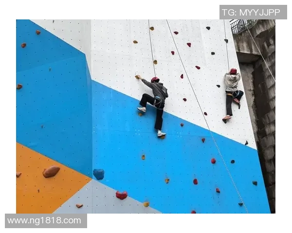 西安攀岩队团队协作能力大幅提升荣获全国攀岩赛事新高排名